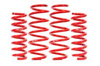 2006-2023 Dodge Charger Springs